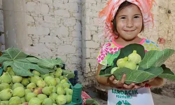 İzmir'e has festival: 10-11 Ağustos'ta Güzelbahçe'de düzenlenecek