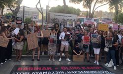 İzmir’de sokak hayvanları için eylem düzenlendi: Ülkeyi hayvan mezarlığına çevirmeyeceğiz