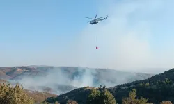 Uşak'ta iki noktada çıkan yangınlara müdahale ediliyor