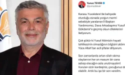 Yorgun mermi AKP İl Başkan Yardımcısını yaraladı