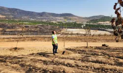 Gülümseten haber geldi: İzmir'in ciğerleri yeniden doğuyor