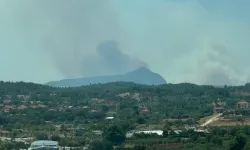 Muğla'da orman yangını çıktı: Müdahale sürüyor