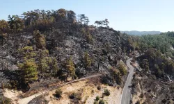 Muğla'da orman yangını 3'üncü gününde: Müdahale sürüyor