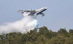 Azerbaycan'ın amfibi uçağı İzmir'deki yangınlara müdahale ediyor