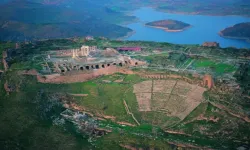 İzmir Bergama'da icradan satılık tarım arazisi