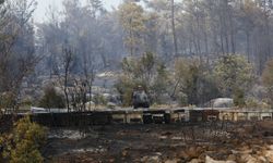 Muğla'da yangından etkilenen arıcılara destek: Geleceğimizi korumalıyız