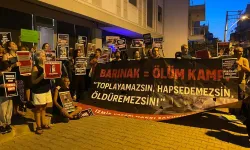 Yaşam Hakları Savunucuları İzmir'den ses yükseltti: Hayvan ölümleri son bulsun