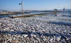 İzmir'de Bilim Kurulu ilk kez toplandı: Körfez sorununa çözüm aradılar