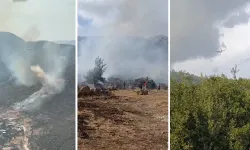 Torbalı ve Menderes'te orman yangını çıktı