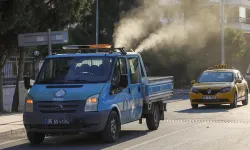 İzmir'e bela oldu: Buca Belediyesi, beyaz sineklere karşı ilaçlama başlattı