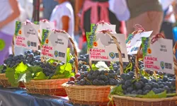 İzmir'de Üzüm Festivali: Tarih belli oldu