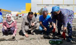 Bornova'nın Kent Bostanı açıldı: Yetiştirilen ürünler ihtiyaç sahiplerine gidecek