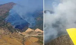 Manisa Alaşehir'de orman yangını