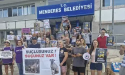 Menderes'teki köpek katliamına tepki: Yasa öldürme izni vermiyor