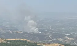 Menemen'de yangın: Havadan ve karadan müdahale ile söndürüldü