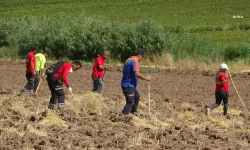 17 gündür aranıyor: Narin Güran'dan tek bir iz yok