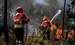 Portekiz’de orman yangını kabusu: 7 ölü 40 yaralı