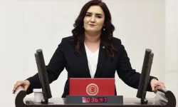 CHP'li Sevda Erdan Kılıç: Serdar Akalın 85 gündür kayıp, bakanlık sessiz