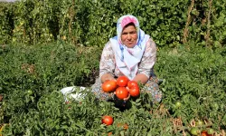 İzmir'de şenlik var: Yamanlar yeniden ayağa kalkacak