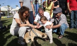 İzmirli başkandan örnek davranış: Bir bacağını kaybeden köpeğe yuva oldu