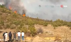 Afyonkarahisar'da orman yangını