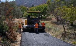 Bornova'da yol seferberliği: Asfaltlama çalışmaları sürüyor