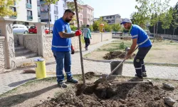 Buca'da seferberlik: İlçe genelinde yeşillendirme çalışması başladı