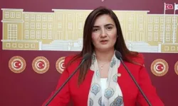 CHP'li Sevda Erdan Kılıç duyurdu: Cem Şahin olayına soruşturma