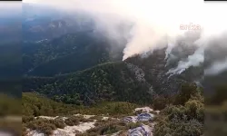 Denizli Merkezefendi'deki orman yangını 2 gündür kontrol altına alınamıyor!