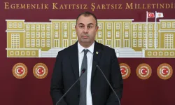 CHP'li Arslan sordu: İzmir Körfezi'nin temizliği için iktidar olarak ne yaptınız?