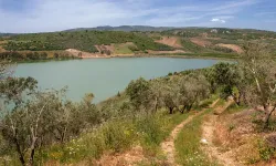 İzmir'de doğal bir cennet: Gebekirse Gölü nerede?