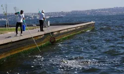 İzmir'de deniz neden kötü kokuyor? İzmir Körfezi'nde kirlilik azaldı mı?