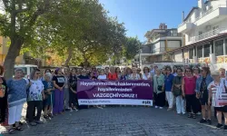 Kadın cinayetlerine tepki: Kimse görevini yapmadığı için bu ülkede artık bir cinskırım var!