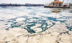 Kabus geri döndü: Marmara Denizi'nde oluşan müsilaj için acil önlem çağrısı