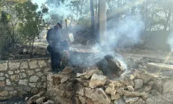 Muğla'da yangın felaketi: Çıkış nedeni araştırılıyor