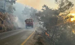 Yine ciğerlerimiz yanıyor: Muğla'da aynı anda çok sayıda bölgede yangın