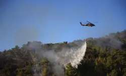 Dalaman'da orman yangını: TSK da devreye girdi