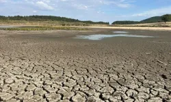 Bir zamanlar Kuş Cenneti'ydi, son hali yürekleri parçaladı