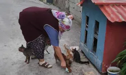 Basmane’nin fedakâr kadınları: Sokak hayvanları için sevgiyle mücadele ediyorlar