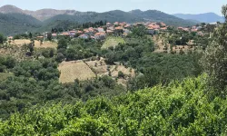 Türkiye'nin en başarılısı seçildi: İzmir'in bu köyü hem güzelliği hem de ürünleri ile adını duyurdu