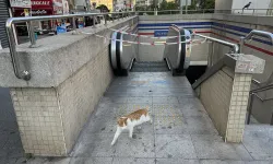 İzmir Metro'da yürüyen merdiven sıkıntısı sürüyor