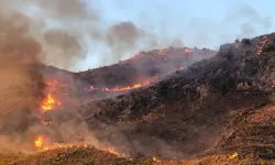 Vatandaş söndürme çalışmalarına destek oluyor: Muğla'da yangın!