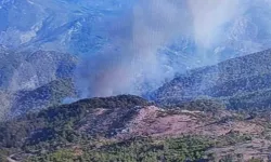 Muğla Köyceğiz ilçesinde çıkan yangın kontrol altına alındı