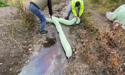 Sakarya ve Kocaeli’nin içme suyu tehlike altında: Sapanca Gölü’ne kimyasal madde akıyor!