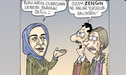 Sefer Selvi'den AKP'li Zengin'e karikatürlü tepki: "Zengin" ne anlar yoklusun halinden