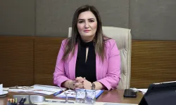 Sevda Erdan Kılıç: Muhalefet olmadan kadına şiddet çözülmez