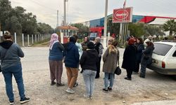 Aydın'da işletme iflas etti: Alacaklılar kapıya dayandı