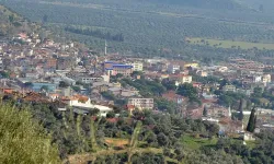 İzmir Bayındır'da mahkemeden satılık kargir ev ve zeytin bahçesi