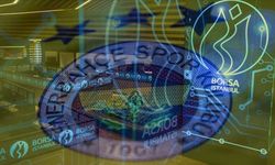 Spor şirketleri arasında yatırımcısına kazandıran Fenerbahçe oldu