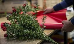 Yılbaşının vazgeçilmezi, yapımı zahmetli: Kokinanın bir demeti 2 bin TL!